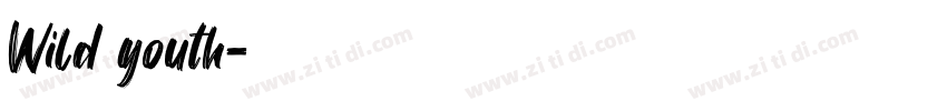 Wild youth字体转换